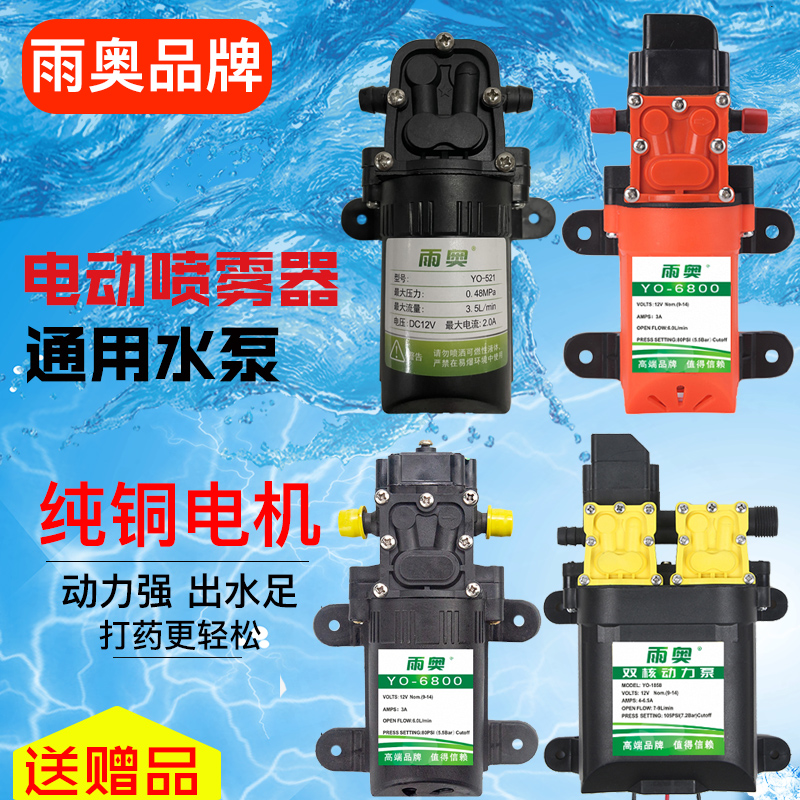 12v electric sprayer water pump intelligent high-pressure agricultural spray machine watering flowers fruit tree spray high power diaphragm pump