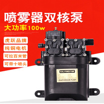 12v Volt Intelligent Pressure Switch Off Gun Down Double Nuclear Pump Sprayer Watering Orchard Nursery Sprinkling Pesticide Double Pump