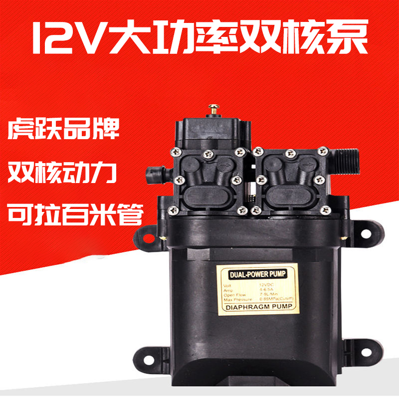 12v Intelligent Pressure Switch Off Gun Down Double Nuclear Pump Spray Watering Orchard Nursery Sprinkling Pesticide Double Pump Automatic