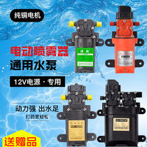 12v volt agricultural electric sprayer water pump motor watering flowers fruit tree nursery beating medicine high pressure diaphragm self-priming water pump