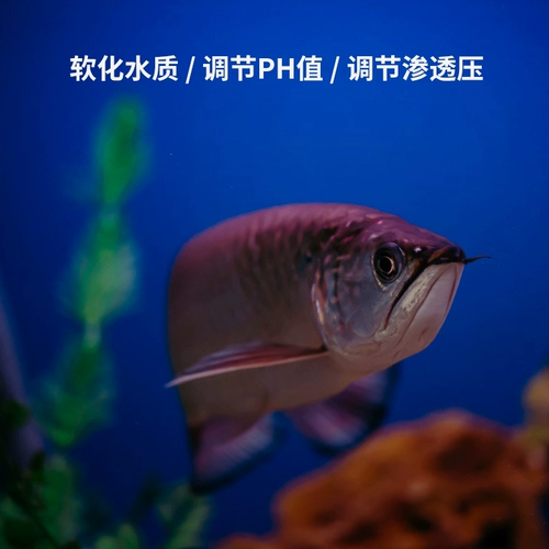 朵鱼 Наблюдая за рыбой специфичной функциональной соль