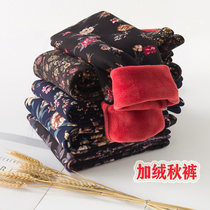 Simple Butterfly Wei Middle Aged Warm Pants Mom Autumn Pants Seniors Pure Cotton Thread Pants Women Beating Bottom Plus Suede Pants Loose Winter Clothing