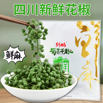 Sword Peng Sichuan Fresh Nine Leaf Qing Sichuan peppercorns 350g Vacuum raw Sichuan peppercorns Teatable fresh pepper Pepper Pepper pepper Pepper Pepper