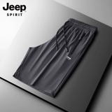 Шелковый джип, мужские быстросохнущие шорты, летние тонкие штаны, свободный прямой крой