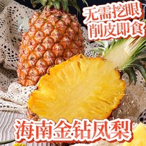 Fruit Jiangnan Supply Chain Fans Welfare Hainan Straight Hair Gold Diamond Pineapple 75 Jin 45 Jin Very Sweet Fresh Fruit Compensation