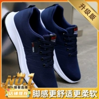 【Укрепление обновления】 225 Blue