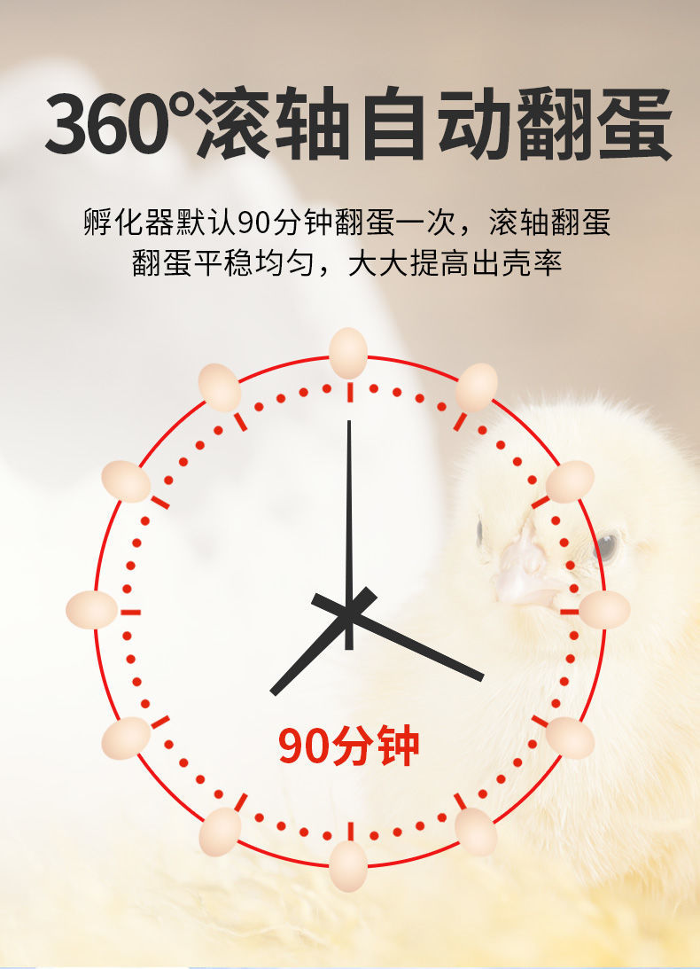 孵化器全自动芦丁鸡孵化机小鸡小型孵化箱家用孵蛋器孵小鸡的机器