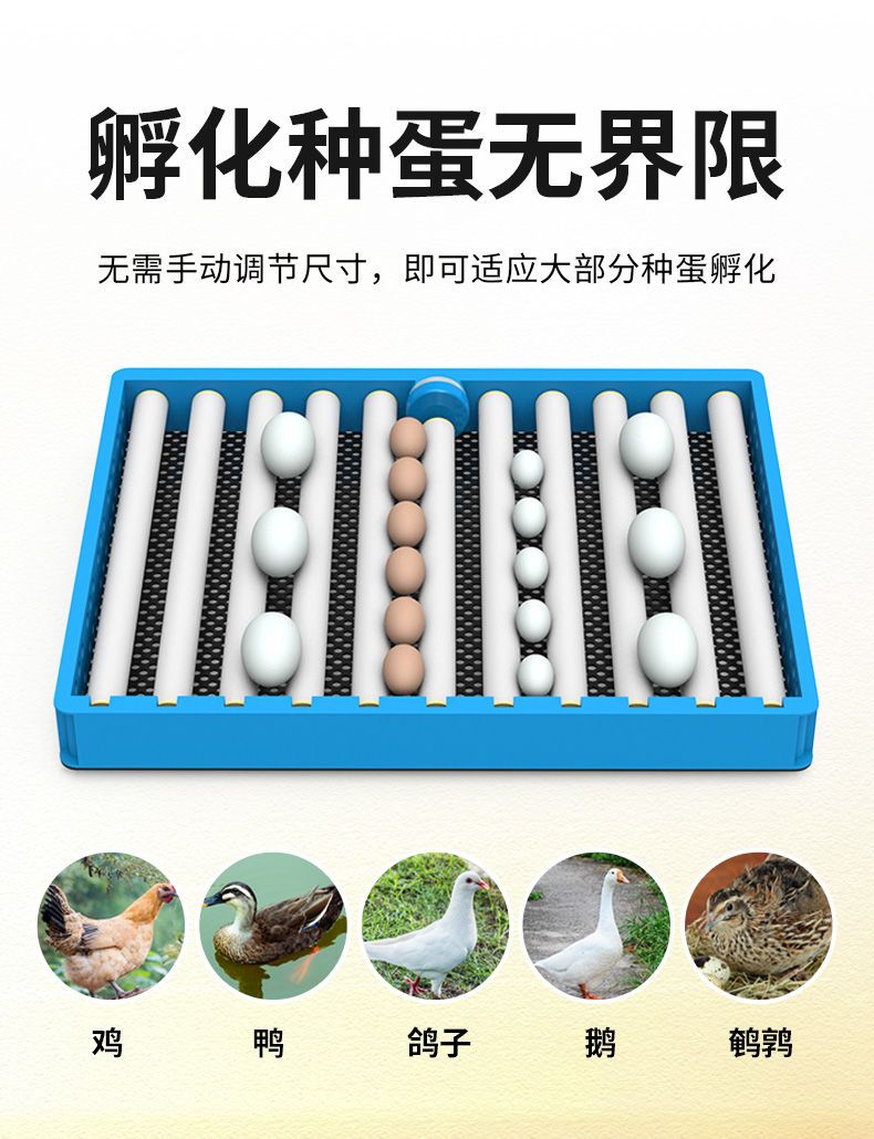 孵化器全自动芦丁鸡孵化机小鸡小型孵化箱家用孵蛋器孵小鸡的机器