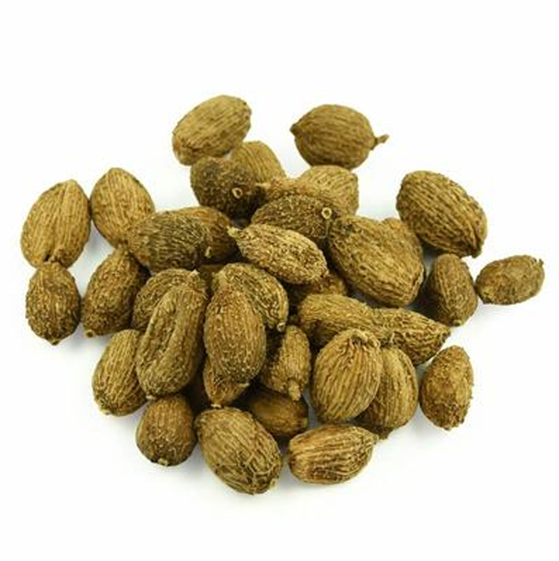 5 pieces of Chinese herbal medicine Amomum serrata