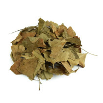 5 catties of high-quality Chinese herbal medicines ginkgo leaves Gongsun tree ginkgo leaves 500 grams of tea