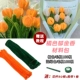 [【橘色郁金香】约做16朵 送50支花杆+胶带+教程]