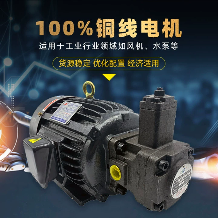 bơm thủy lực xe nâng tay cao Bộ động cơ bơm dầu thủy lực VP20-30+0.75-1.5KW cụm bơm thủy lực động cơ ngang hệ thống trạm thủy lực bơm thủy lực bánh răng mini phục hồi bơm thủy lực