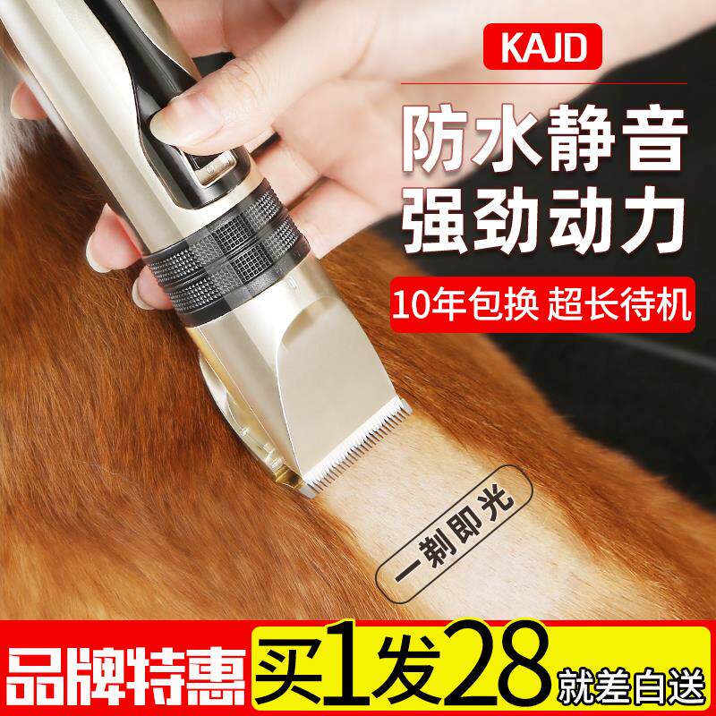 Professional Pets Shaving Machines Dogs Electric Pushy Haircuts Hairdresser Tools Teddy Kitty Mauter Animals in addition to matterball delivery