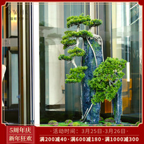Hotel Swivel Door Floral Decoration Flowers Emulation Greet Pines Pine Bonsai Pendulum Pieces Chinese Cubland Fake Mountain Water-made View on sale