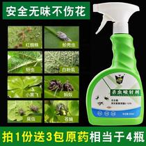 Fight for the cure of green plants and flowers and insecticide families with indoor long-lasting multi-meat red spider orchid aphids