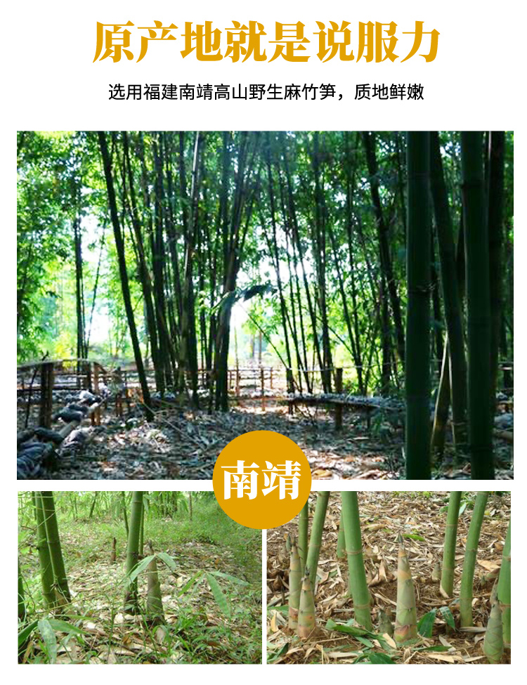 远古山夫 无壳无老根 新鲜清水竹笋丝 600g*3包 图8