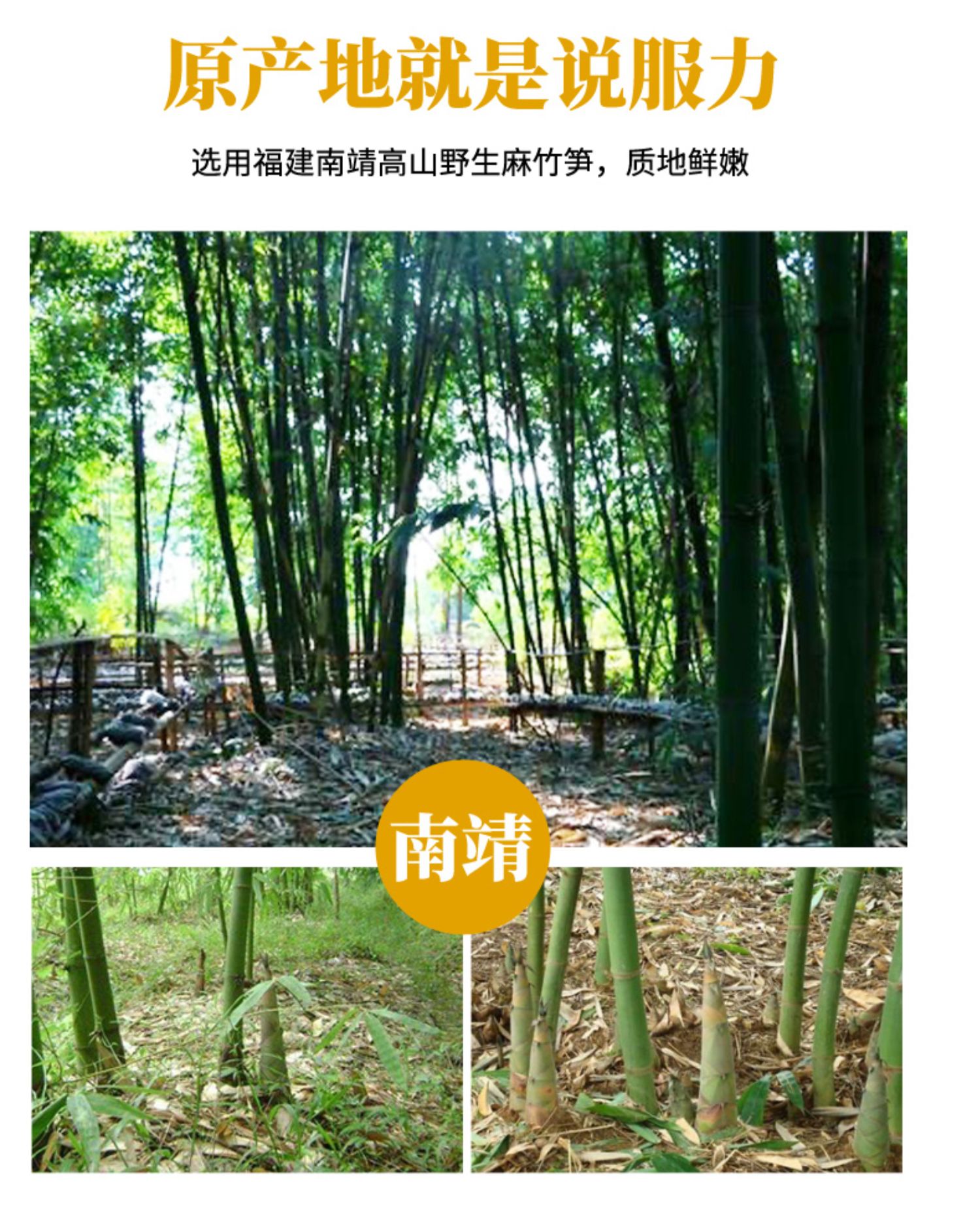 【拍2发3】远古山夫笋丝鲜笋丝脆笋野生春笋