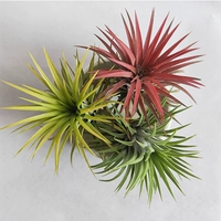 Красные, желтые и зеленые эльфы установлены 6-8 см (отправьте пружину