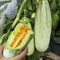 6 круассанов с дынями