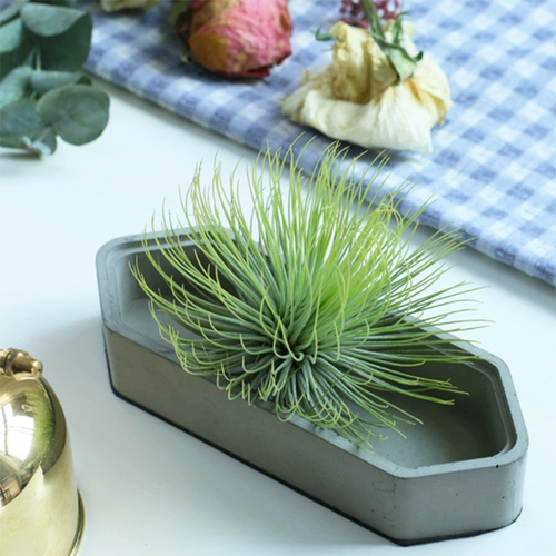 Специальные эльфы для новичков с воздушным ананасом заполнены, а крытый настольный анти -строительный формальдегид прекрасен.