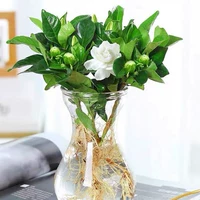 1 цветок Гардендии