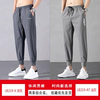 LB219 -X Deep Grey+LB219 -At светло -серый