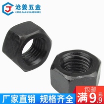 GB6170 high strength 8 grade black nut GB6170 outer hexagon nut M6 48