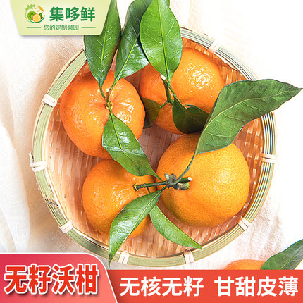 中国十大名柑，皮薄肉厚，香甜无籽：5斤集哆鲜 四川武鸣沃柑