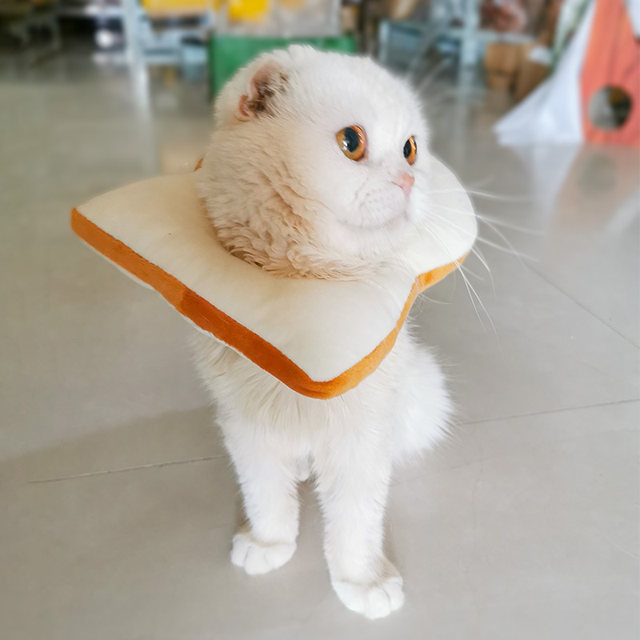 Toast hood cat sterilization anti-licking collar ins cat set pet accessories Elizabethan circle bread slice neck collar