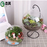 Микроандшафт экологическая бутылка DIY Материал мох висящий бутылка наклонное во рту мясная стеклянная бутылка из яиц в форме лампы для дровяной бутылки Бесплатная доставка