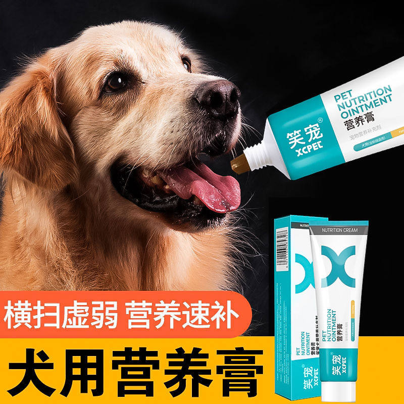 Dog Nutrition Cream Puppies Bichon Teddy Bo Golden Retriever Adult Pregnancy Gain Weight Enhance Immunity Pet Supplies