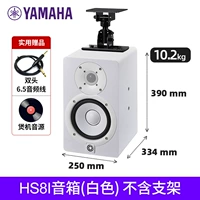 HS8IW висит 1 белый (исключая кронштейн) +6,5 Аудиокабель 1