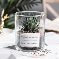 Двенадцать томов (цилиндрическое стекло + белая наклейка)