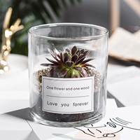 Белый снежный светильник (цилиндрическое стекло + белая наклейка)