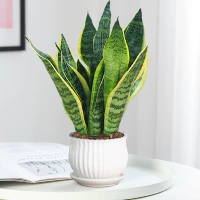 Tiger Pilan 30cm3 (вертикальный керамический бассейн)