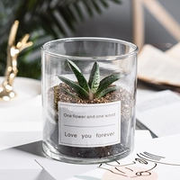 Юаньбаохуа (цилиндрическое стекло + белая наклейка)