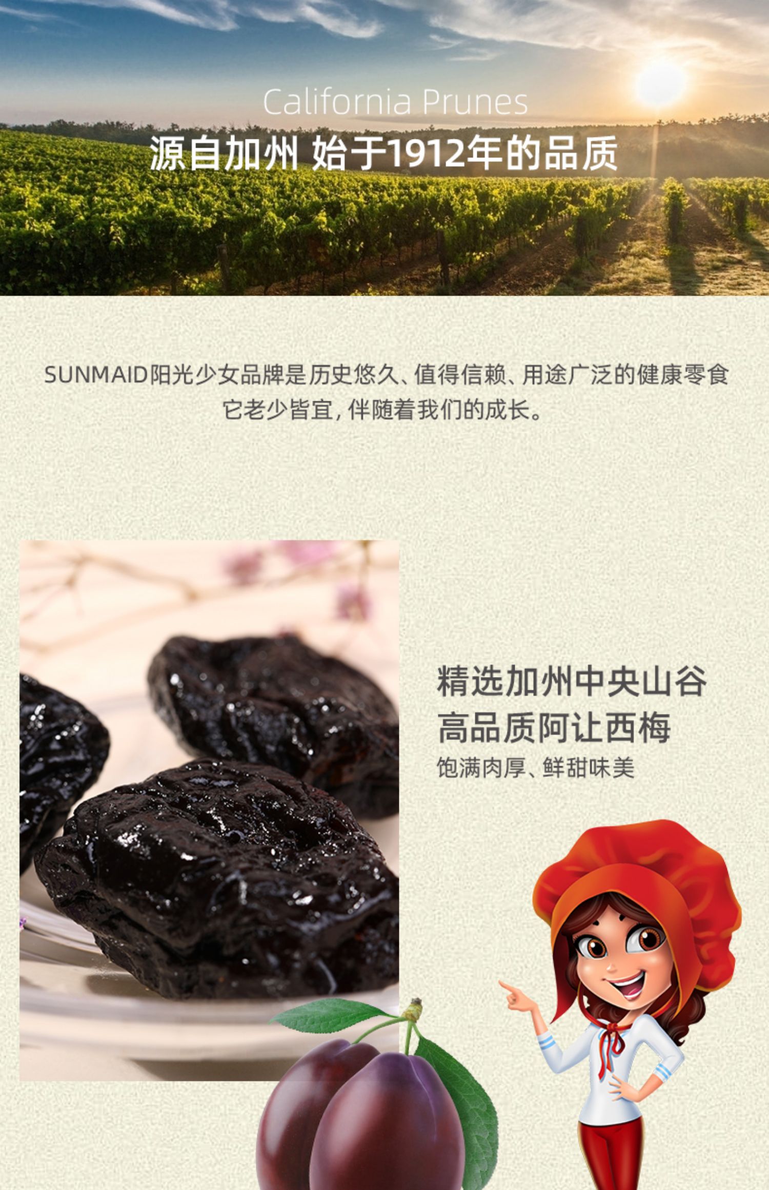 SUNMAID阳光少女西梅干美国进口去核西梅干