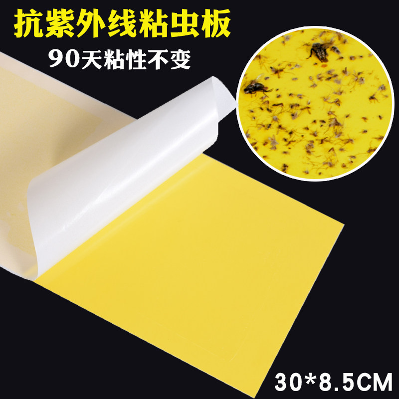 Smart-domain insect flying insect Sticky Fly Paper Sticky flytrap lamp with sticky paper Sticky Insect plate Fly Paper Mosquito Fly Cardboard