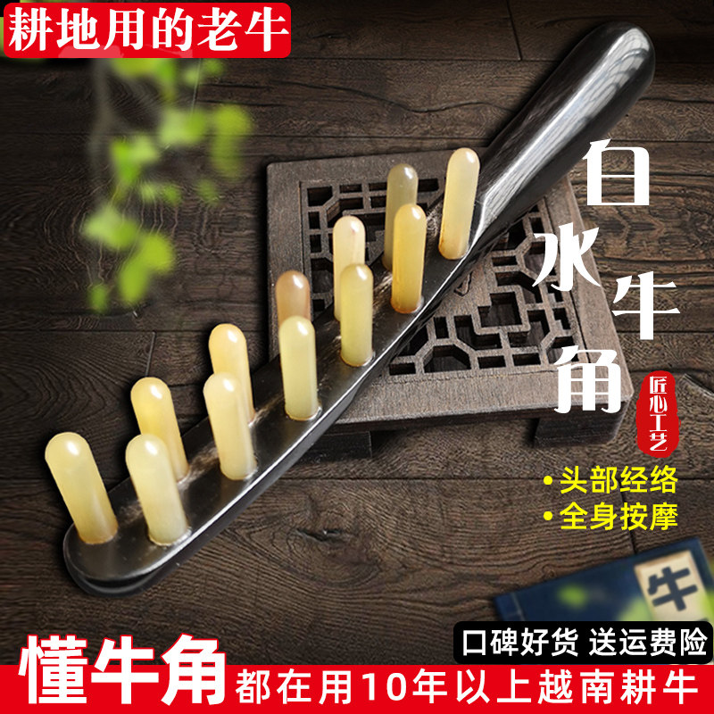 信轩牛角梳子护发按摩钉女梳发头皮不起静电头部刮痧经络梳