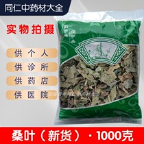 Anguo Traditional Chinese Medicine Market wholesales new sulfur-free mulberry leaves 1000g after frost mulberry leaves herbal medicine encyclopedia