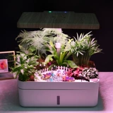 Умный автоматический цветочный горшок для домашнего использования, моторное масло для выращивания растений, оборудование, хорошо впитывает воду