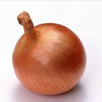 ▲ Shepherd 3346 лук 100 г/баррель