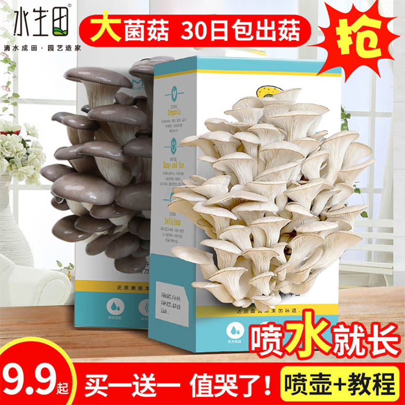 Nursery Plant Observation Diary Growth Germination Potted Potted Diy Children Cultivation Small Self flower Farmers Students Mini