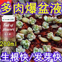 Succulent nutrient solution for growing flowers universal nitrogen phosphorus and potassium succulents color and fertilizer rapid germination stimulant sterilizing fertilizer rooting liquid
