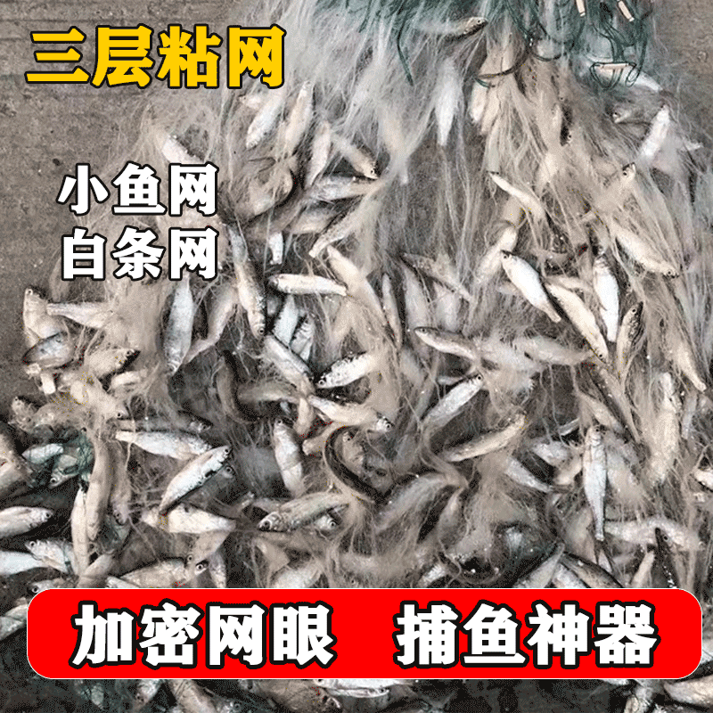 Small Fishing Net, Sticky Net, Three-Layer White Striped Net, Fishing Net, Floating Net, Sinking Net, 50.1m Long Fishing Net, Mealworm Net, 1-Finger Net Small Fishing Net, Sticky Net, Three-Layer White Striped Net, Fishing Net, Floating Net, Sinking Net, 50.1m Long Fishing Net, Mealworm Net, 1-Finger Net