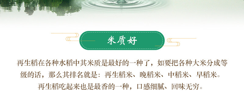 凌代表 再生稻大米 南方长粒香米真空包装 10斤 图4