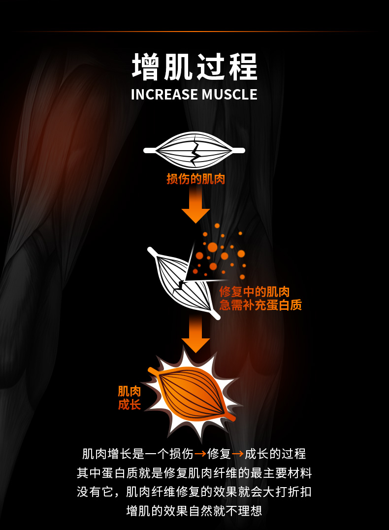 Muscle肌鲣强乳清蛋白粉增肌粉