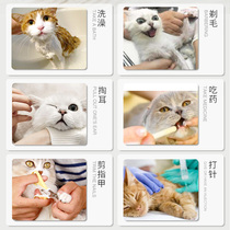Cats foot cover cat claw set Cat anti-scratch gloves claw artifact protective cover anti-scratch cutting nail wash Cat Bath