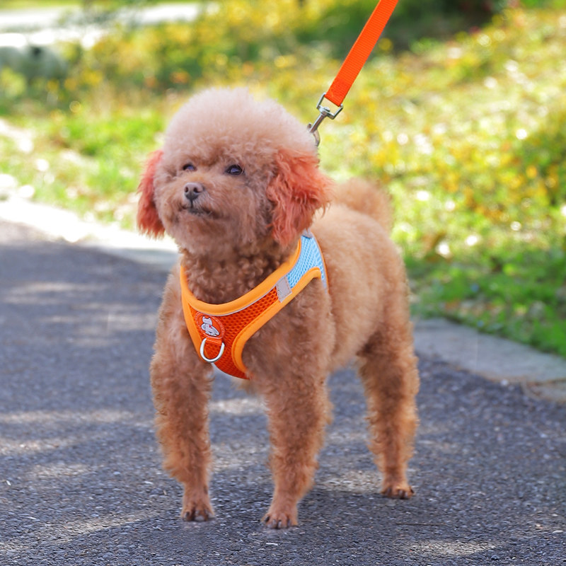 Vest-style dog traction rope teddy small dog big-buggy cuddling with baby bag puppies puppies DOG ROPE DOG NECKLACE