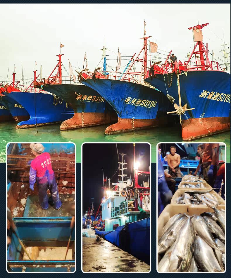 Скумбрия Deffice_02.jpg